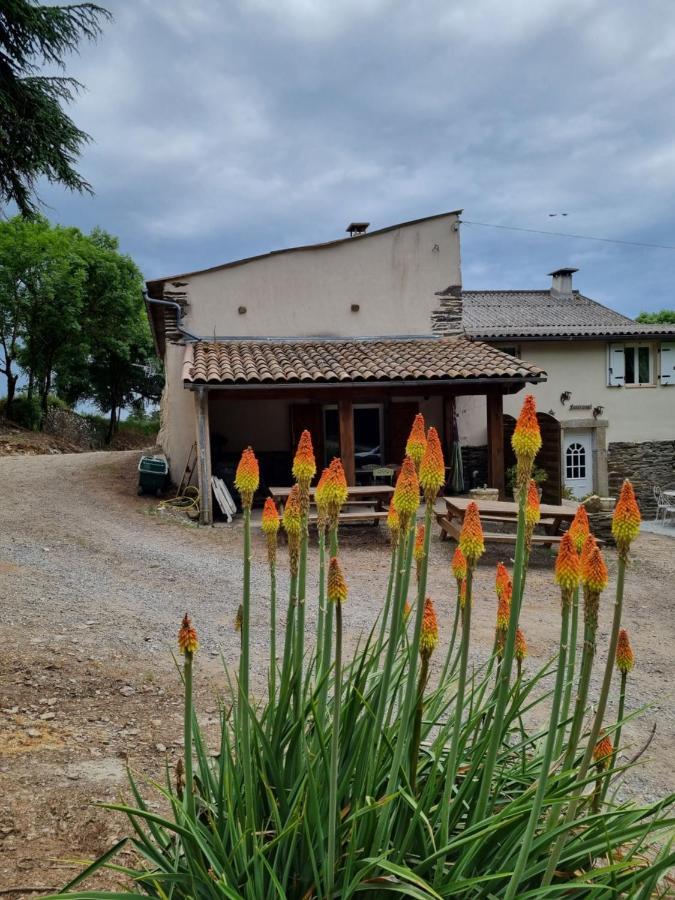L'Oeil De Carcassonne Villa Caudebronde Ngoại thất bức ảnh